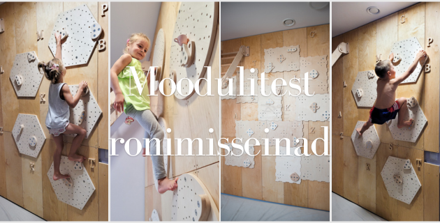 ronimissein lastele. moodulitest ronimisseinad lastele